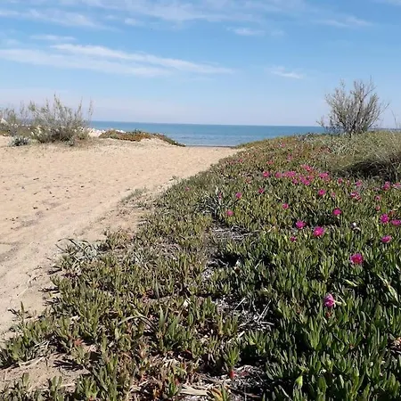 Apartment Denia's Beach House - Ouanalao